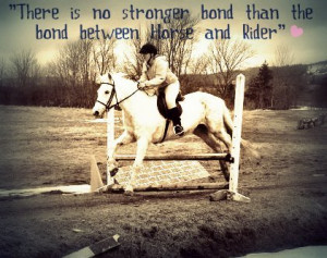 Horse Jumping Quotes and Sayings