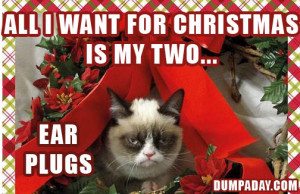 Grumpy Cat Christmas Quotes