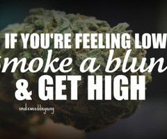 Popular smoke weed Images from April 10, 2012