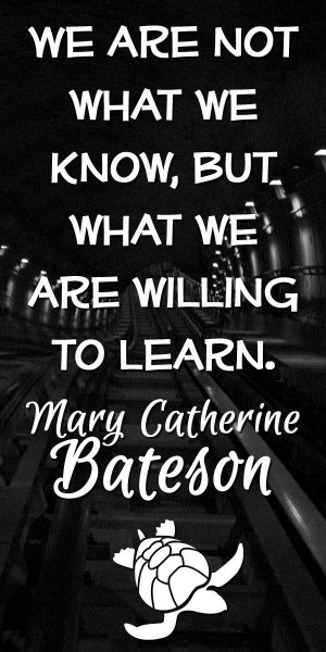 ... are willing to learn – Mary Catherine Bateson #learn #quoteoftheday