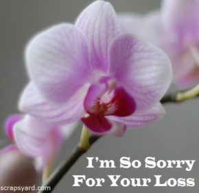 sorry for your loss quotes sorry for your loss quotes