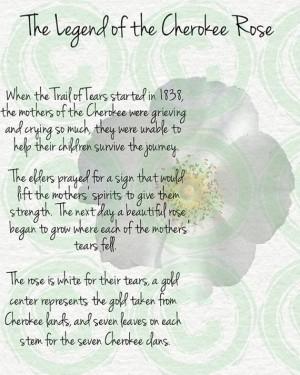 Legend The Cherokee Rose Tlo
