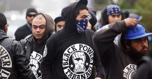 Anti-gang police squad Taskforce Maxima says it is monitoring Black ...