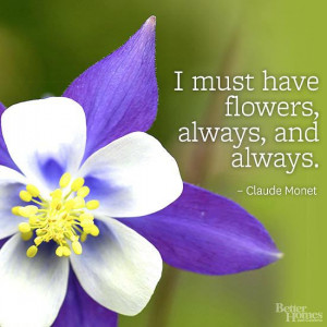 Flower Quotes