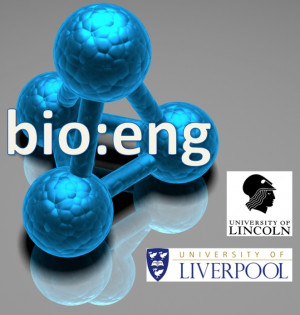 Funny Quotes Contact Dmca...