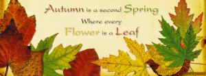 Fall Saying Facebook Cover