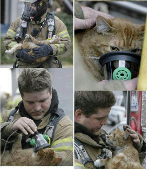 Cat's eyes say thank you...priceless