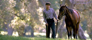 seabiscuit movie Images and Graphics