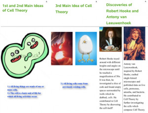 Cell Theory Brochure