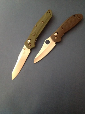 can't carry my gayle bradley but if i did I think it'd go nicely ...