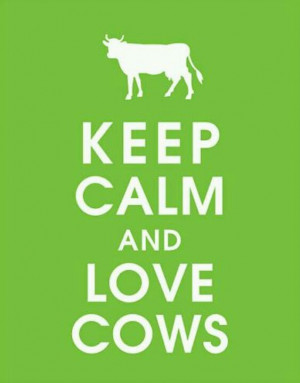 Keep Calm and Love Cows!