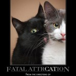 Fatal Attraction