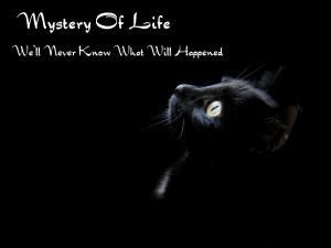 Sometimes we feel bored and tired