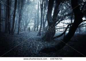 Scary forest Stock Photos, Scary forest Stock Photography, Scary ...