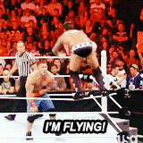 mygifs funny wwe cm punk best in the world