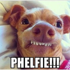 phteven Instagram photos | Webstagram