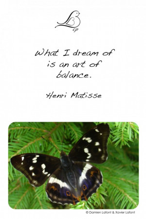 ... -quote-and-the-picture-of-the-butterfly-butterfly-quotes-580x870.jpg