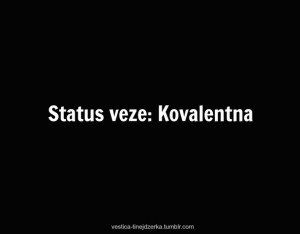 bosnian, quotes, relationship, status