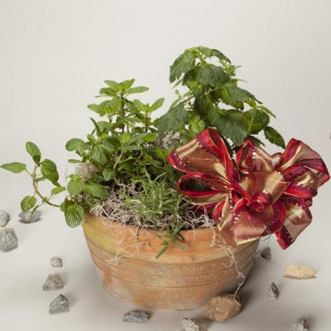 Make Scents Herb Garden Kit $34.95