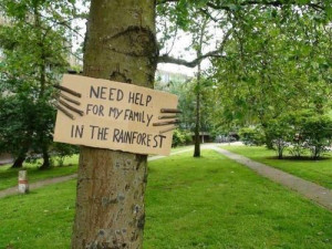 tree protest nature save environment rainforest