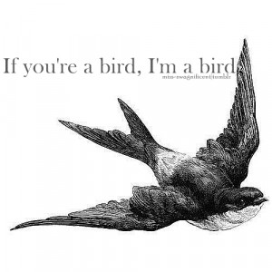 bird, love, notebook, quotes, text, the notebook, typo, typography