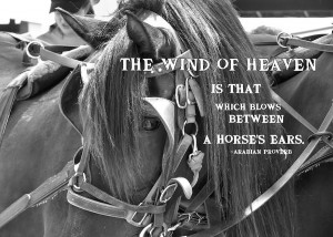 The Wind Of Heaven Is That Which Blows Between A Horse’s Ears