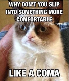 grumpy cat likes when people are sick more cute cat grumpy cat meme ...