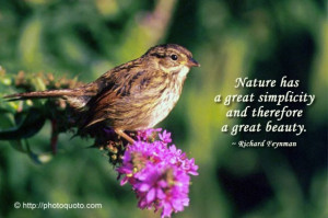Images Of Nature Beauty With Quotes