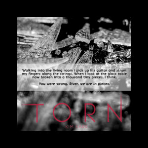 Torn is book two in the Connected Series by Kim Karr. It is available ...