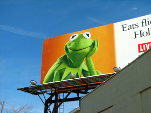 Kermit The Frog Cursing Quotes