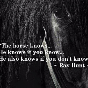 Another amazing Ray Hunt quote. For those of you that ride, you know ...