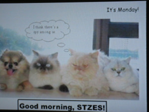 ... Funny Good Morning Quotes For Facebook , Funny Good Morning Quotes For