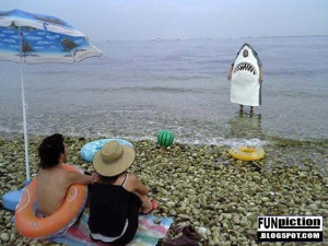 Related information about this funny picture, the following small ...