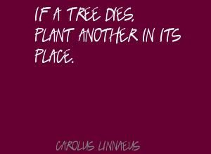 If a tree dies, plant another in its place.Quote By Carolus Linnaeus