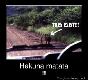 Hakuna matata - Timon and Pumbaa really exist!!!