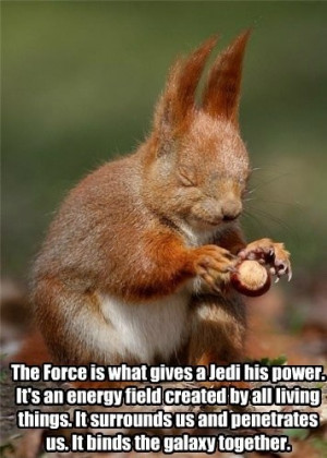 Funny War Animal Pictures with Captions
