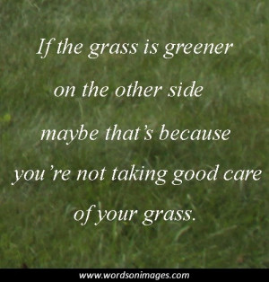 Lawn care quote