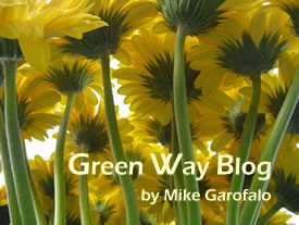 chestnut tree, great rootedblossomer,