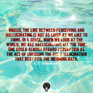 Perception? Hallucination?