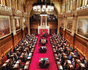 Quotes about upper houses in general