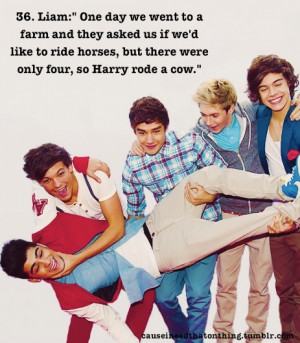 Liam Payne Quote (About cow, farm, funny, horses)