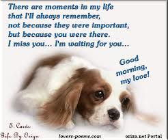 dog quotes - Google Search