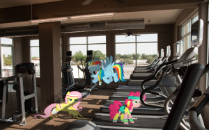 Pony Workout by Bryal