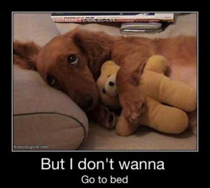but i don’t wanna go to bed….