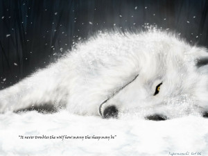 snow white quotes artwork wolfs rain wolves Knowledge Quotes HD ...