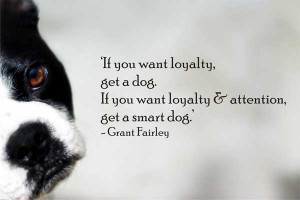 ... , get a dog. If you want loyalty and attention, get a smart dog