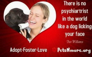 ... , cat, pet, animal, inspiring quotes for animal lovers, petsnmore.org