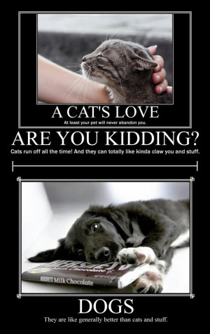 Funny Cats vs Dogs | funny picture cats vs dogs