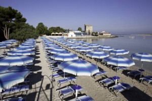 Hotels Cars Flights Vacation Packages