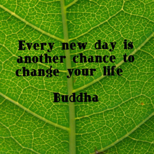 Buddha -Quote
